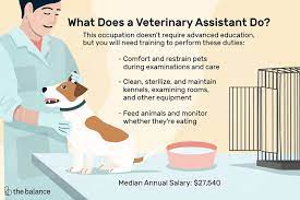 They may also work in veterinary facilities where animals are boarded for surgery or observation. Veterinary Assistant Job Description Salary Skills More