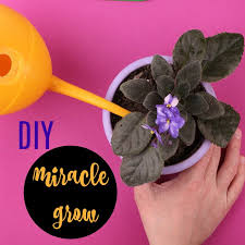 Home Made Miracle Grow Make Your Own