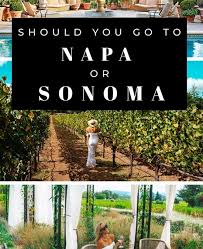 napa vs sonoma where you should visit