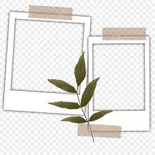 frame aesthetic png transpa images