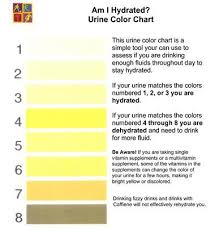 Am I Hydrated Urine Color Chart Health Health
