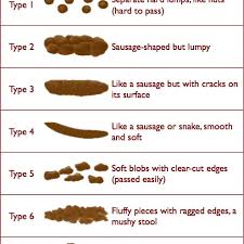 Bristol Stool Scale Adapted From Ref 2 Download