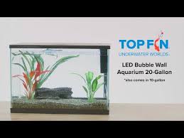 Top Fin Led Bubble Wall Aquarium