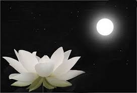 how will the full flower moon inspire