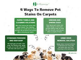 remove old pets stains from carpet