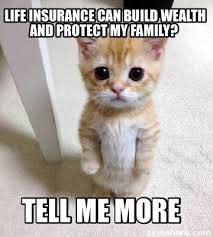 Funny memes about the life of an insurance agent. Meme Creator Funny Life Insurance Can Build Wealth And Protect My Family Tell Me More Meme Generator At Memecreator Org