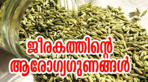 Fennel seeds (saunf or souff) benefits in abdominal diseases, gas, weight loss, indigestion, cancer. à´œ à´°à´•à´¤ à´¤ à´¨ à´± à´†à´° à´— à´¯à´— à´£à´™ à´™àµ¾ Benefits Of Cumin Seeds Malayalam Tasty World Youtube