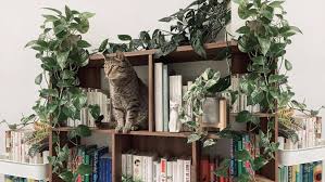 Own Houseplants If You Have A Pet