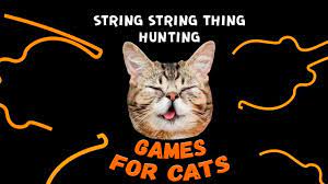 string string thing for cats cat