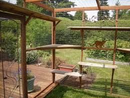 Cat Owners Are Building Catio Spaces
