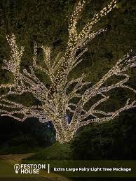 Outdoor Led Commercial Fairy Lights