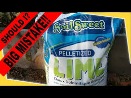 does your garden need lime you