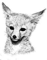 Home animals coloring pages fox coloring pages baby fox coloring. Realistic Baby Fox Coloring Pages Novocom Top
