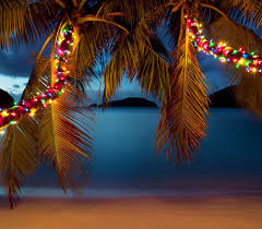 Maybe you would like to learn more about one of these? Christmas Lights On Palm Trees Travel Off Path