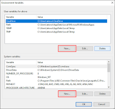 set environment variable in windows