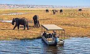 south africa safari tours with the