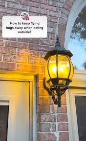 Keep Bugs Away From Outdoor Lights