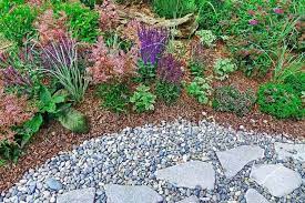 Landscape Your Yard Without Grass