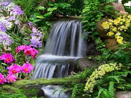 Small Garden Waterfall Cascades