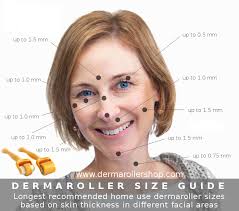 Dermaroller Size Guide Based On Facial Skin Thickness