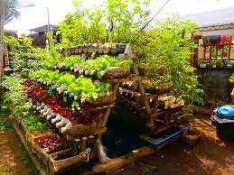 Container Gardening Vegetables Garden