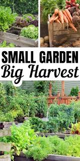 Small Vegetable Garden Ideas Small