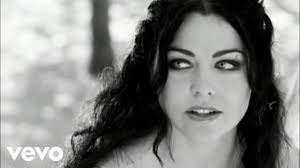 why amy lee has a newfound respect for