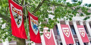 the harvard network admissions