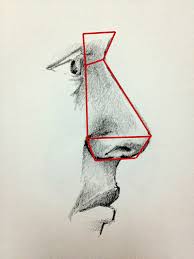 The step by step guide; How To Draw A Nose