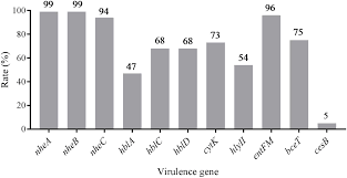 Frontiers Prevalence Virulence Genes Antimicrobial