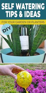 5 Diy Self Watering Ideas For Your