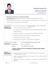Resume Doc Title In The Protective Services For Children Program Sample  Engineering Cv