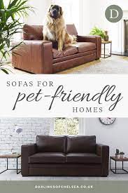fabric and leather sofas for pet