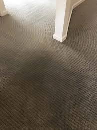 carpet and rug cleaning perth optima