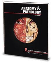 Anatomy And Pathology The Worlds Best Anatomical Charts