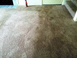 carpet cleaning gallery smith mathis