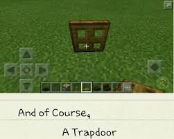 Diy How To Make A Trapdoor Window