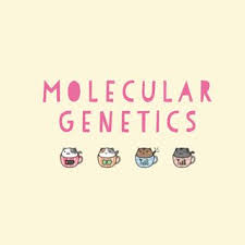molecular genetics คือ answers