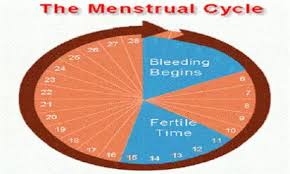 How To Calculate Ovulation And Safe Period In Women