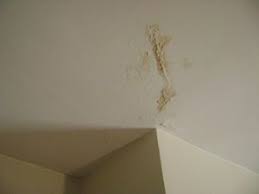 repair minor drywall water damage