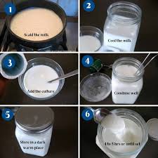 how to make yogurt or greek yogurt 2