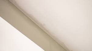 brown spots on your ceiling causes