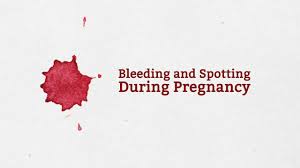 bleeding and spotting during pregnancy