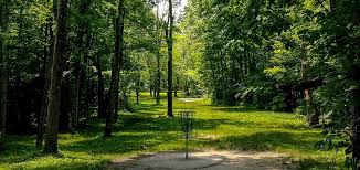 disc golf backgrounds hd wallpapers