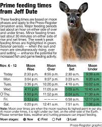 Feeding Times Basics To Get The Most Out Of The Moons