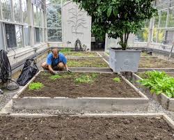 vegetable greenhouse beds for planting