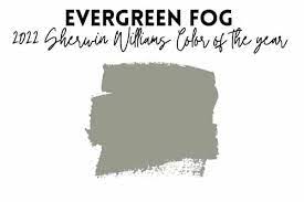 Will Evergreen Fog Work Well In Your