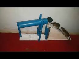 Creative easy pvc pipe rat trap how to make rat trap use from pipe and plastic bottle, #pvcrattrap #rattrap thank you so. Awesome Quick Pvc Rat Trap New Version Mouse Trap 2017 Youtube Mouse Traps Rat Traps Traps