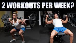 build muscle with only 2 workouts