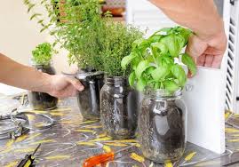 5 Indoor Herb Garden Ideas To Spice Up